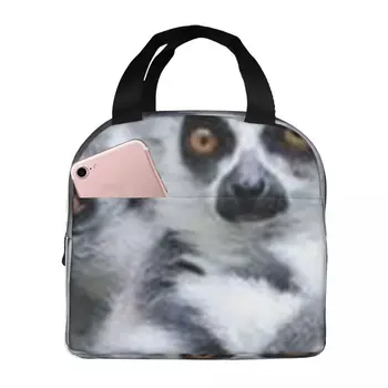 Lemur Roztomilý Zvierat Prenosné Izolované Oxford Obed Taška Opakovane Lunch Box Obed Organizátor Tepelnej Chladnejšie Tote Bag